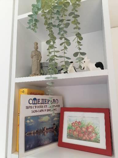 Anka Apartman Smederevo Exterior foto